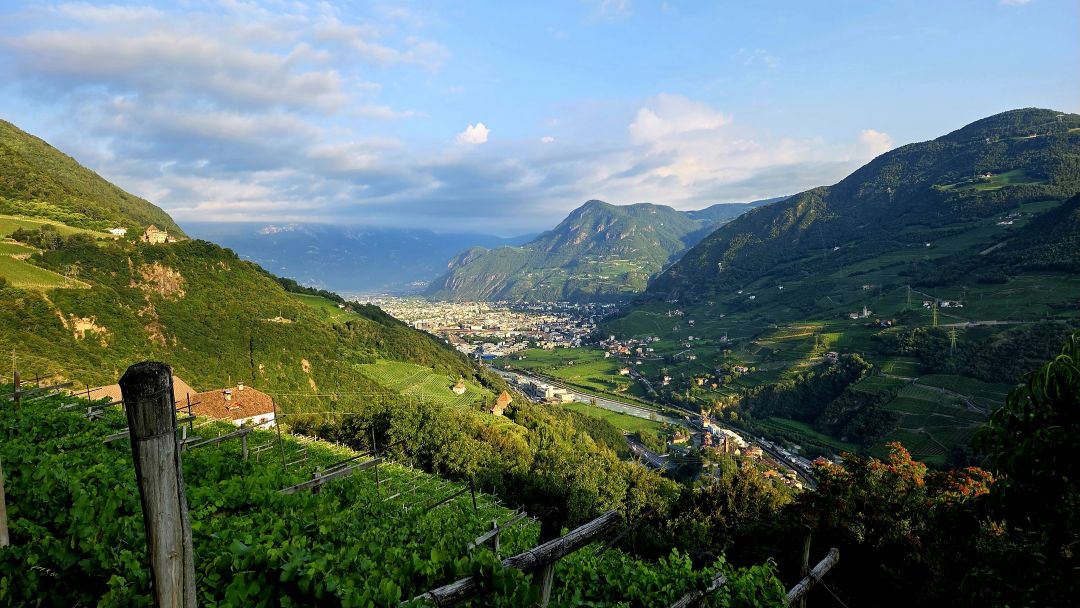 Trentino alto adige cover vinous