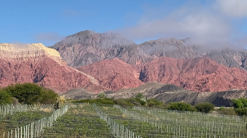 Argentina extremes cover vinous