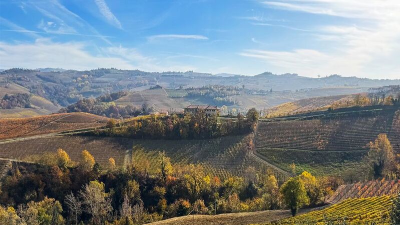 Barolo 2022 cover vinous