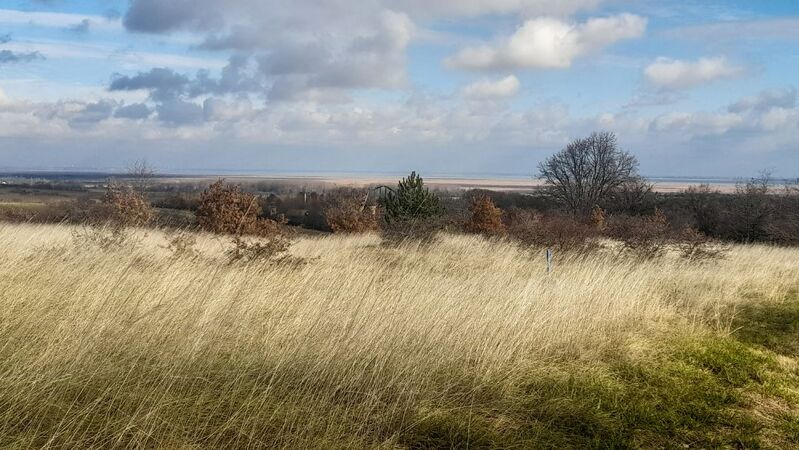 East austria cover vinous