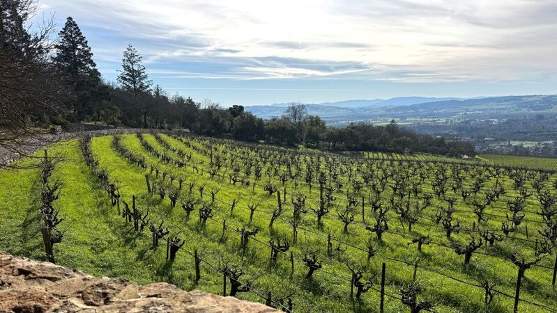 Uploads 1770745567734 moon mountain 2026 cover vinous