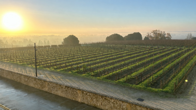 Bordeaux 2023 in bottle cover vinous