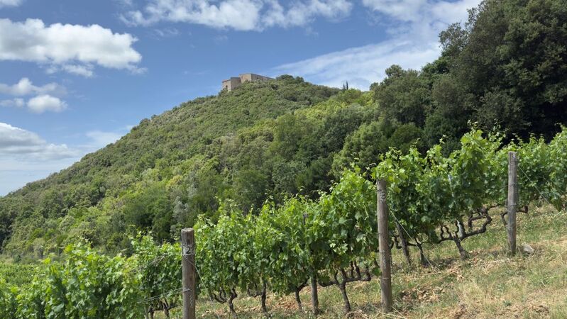 Tuscany preview cover vinous