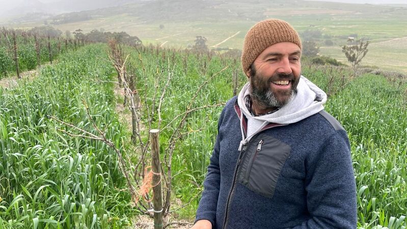 Eben sadie vineyard vinous