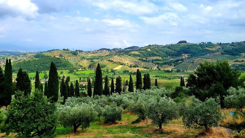 Tuscany eg cover vinous