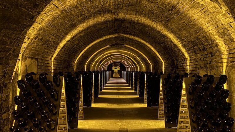 2026 champagne cover vinous