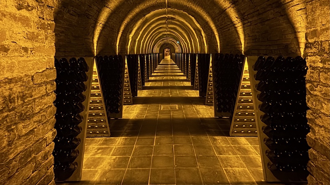 2026 champagne cover vinous