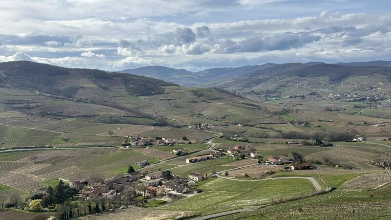 Beaujolais cover vinous