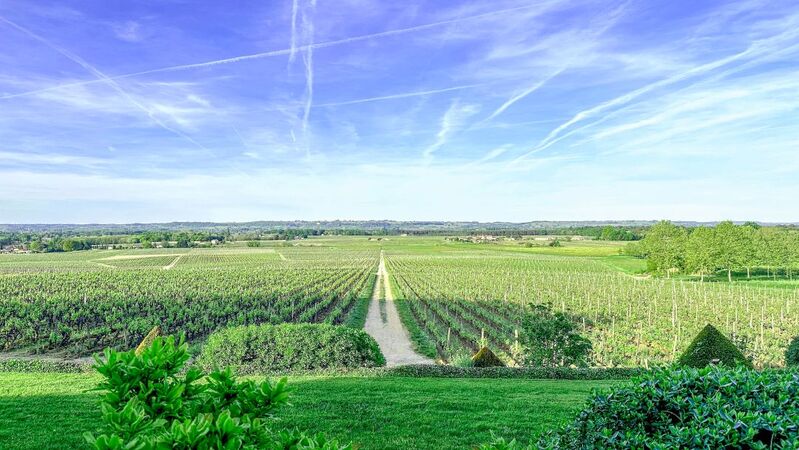 2025 bordeaux en primeur nm cover vinous