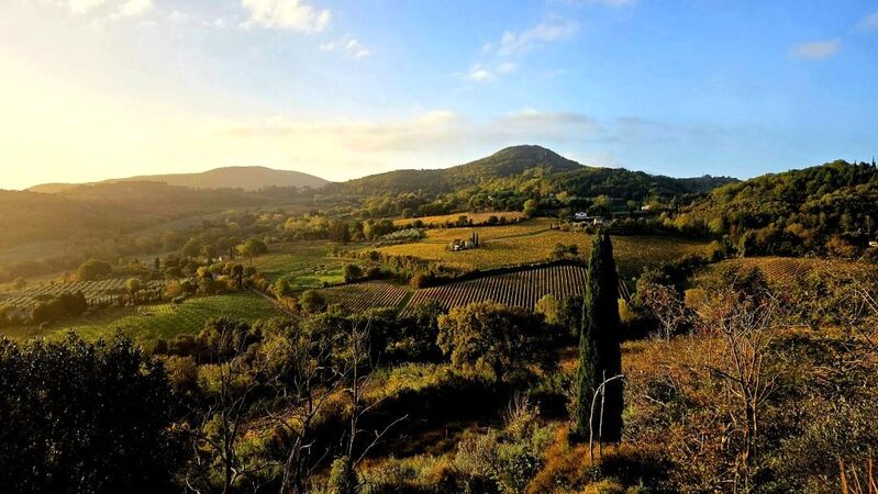 Vino nobile di montepulciano 2026 cover vinous