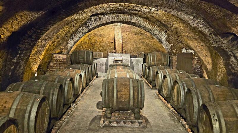 Basilicata cover vinous