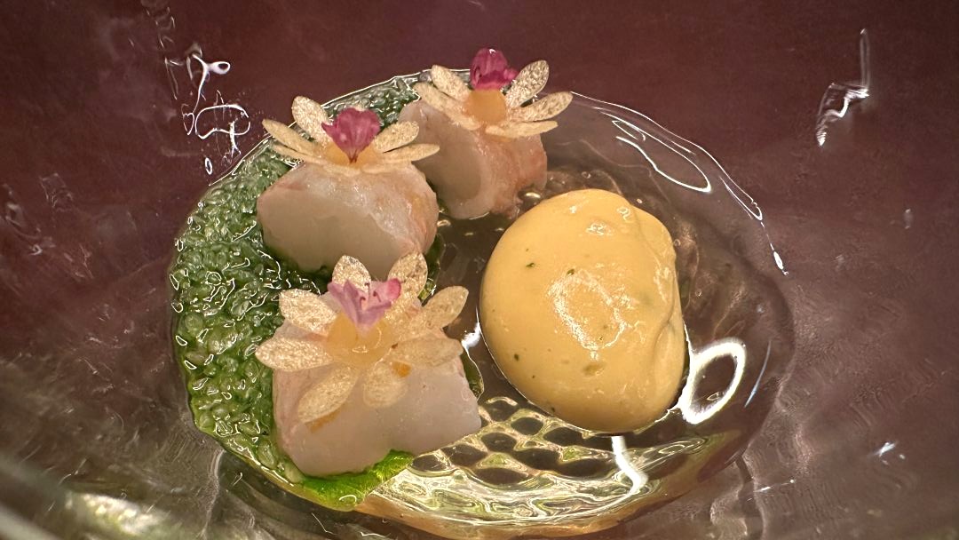 Row 5 langoustine sabayon vt