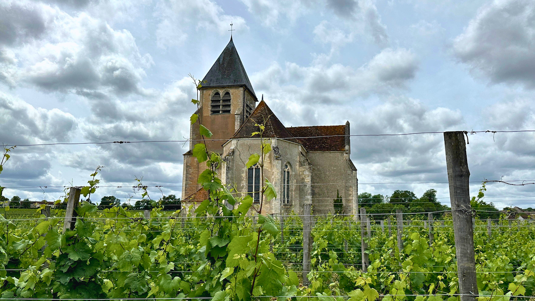 Chablis cover vinous