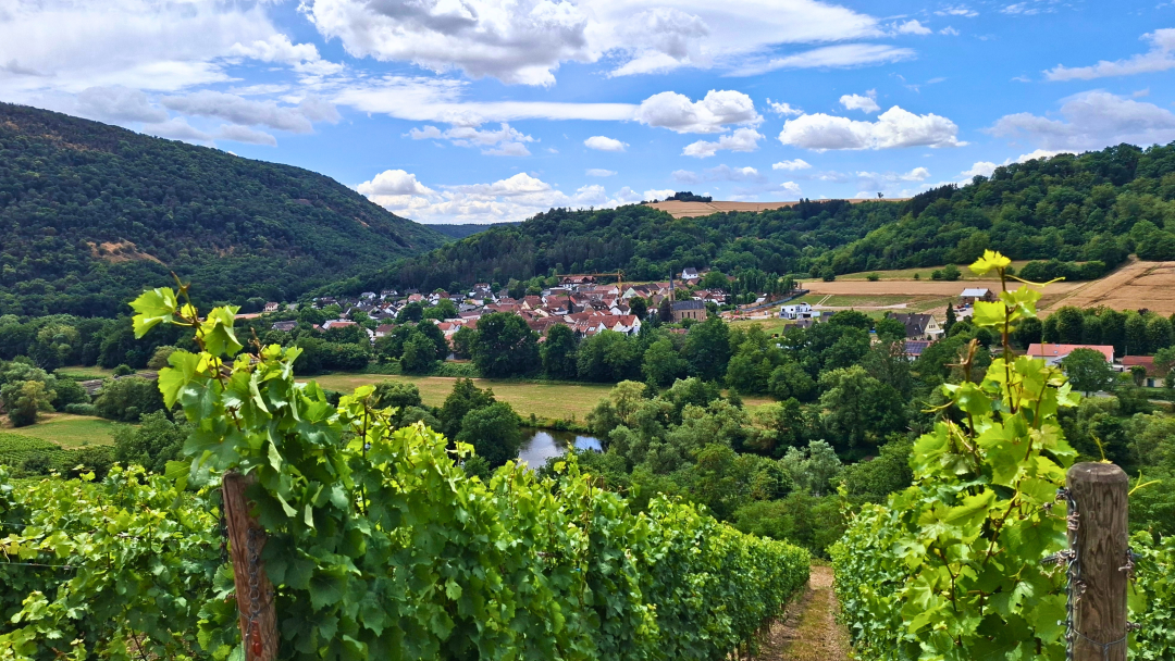 Rheinhessen cover vinous