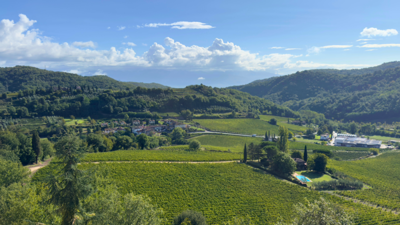 Querceto chianti classico cover vinous