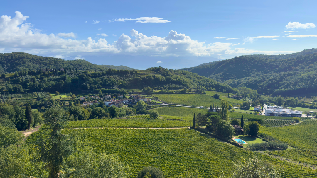 Querceto chianti classico cover vinous