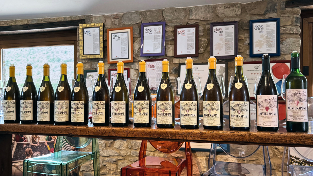 Monteraponi cover vinous