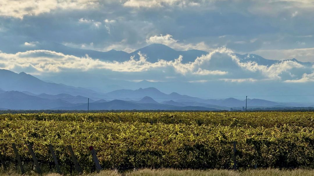 Uco valley cover 2026 vinous