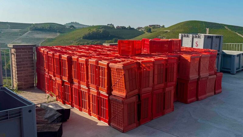 Barbaresco 2026 cover vinous