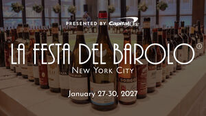 Festa banner2027 960