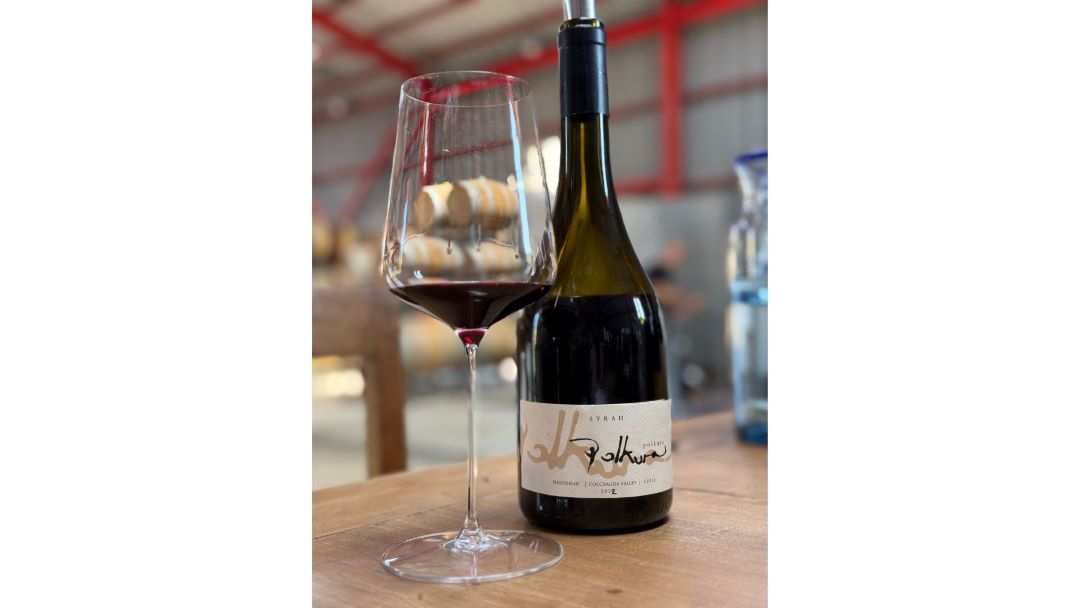 2022 Polkura Syrah