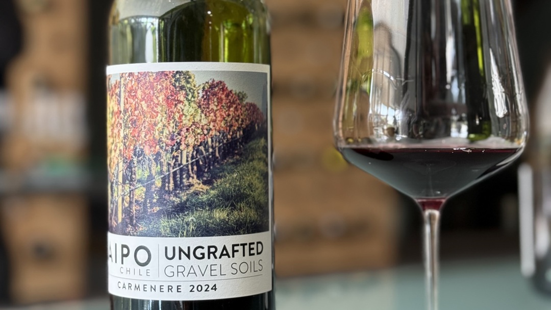 2024 De Martino Caménère Ungrafted