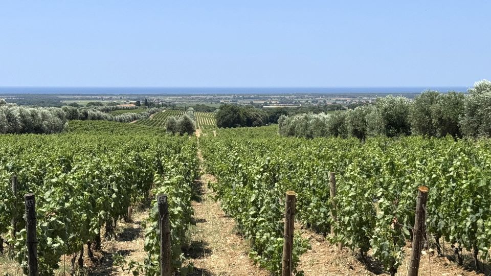 Tuscany adds cover