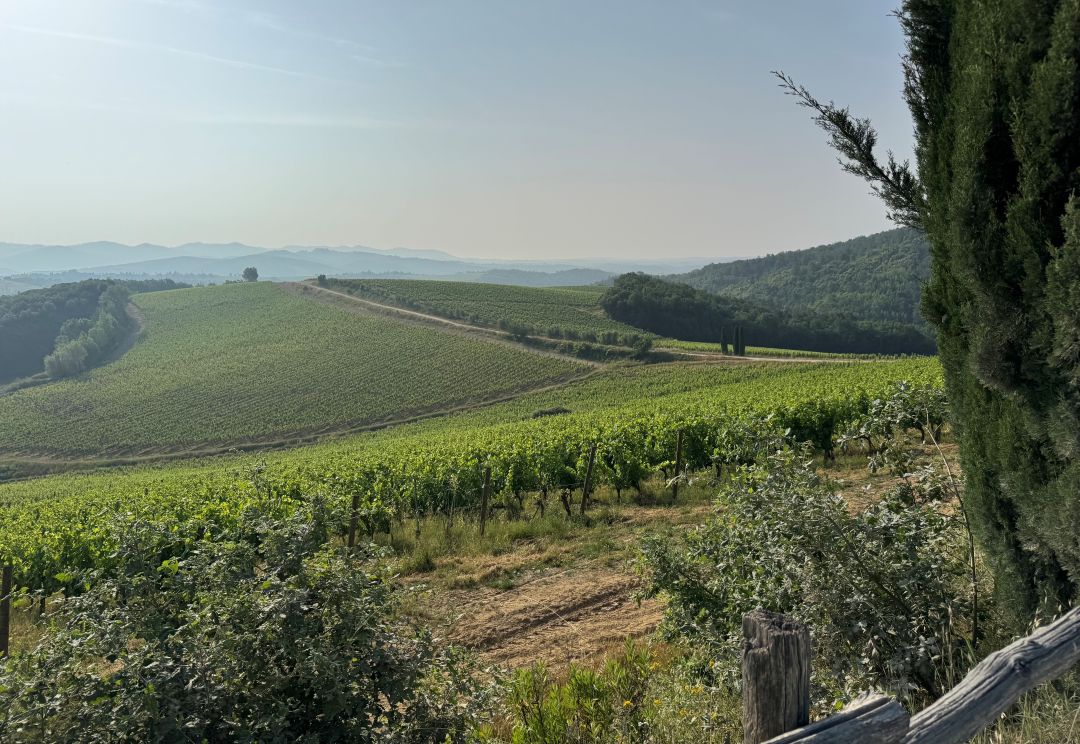 Uploads 1752162113940 dievole 1080