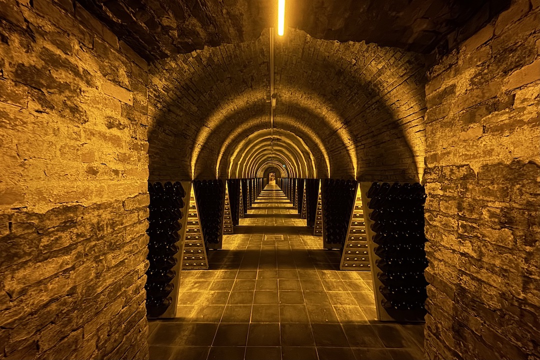 Uploads 1777649523133 laurent perrier vinous