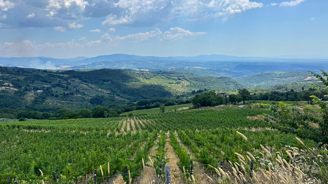 Coastal tuscany cover vinous
